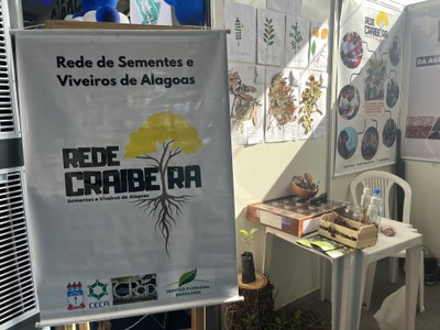 Sinpete 2025 - Dia 17/10